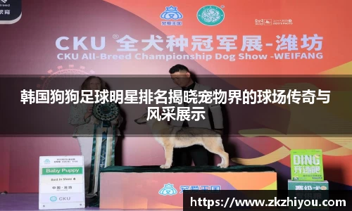 韩国狗狗足球明星排名揭晓宠物界的球场传奇与风采展示