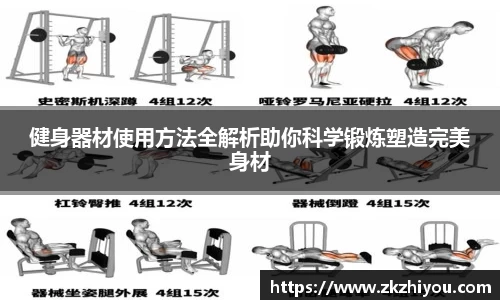 健身器材使用方法全解析助你科学锻炼塑造完美身材